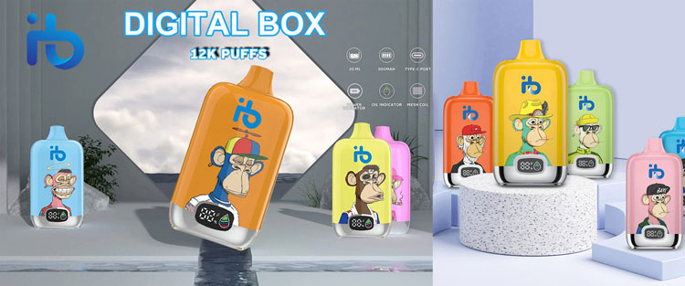 IBVAPE complete 2025 guide to vietnam customs e-cigarette rules and IBVAPE import shipping tips