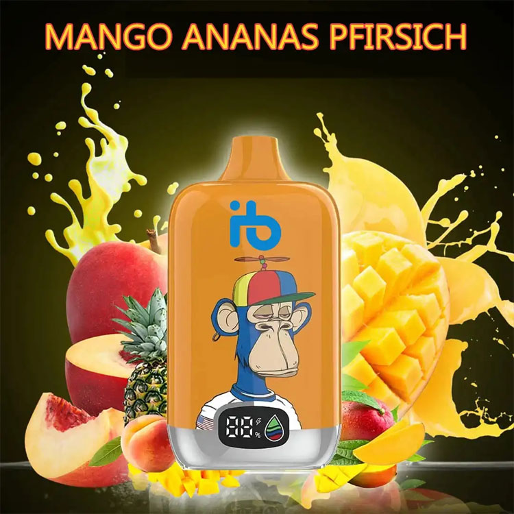 Elektrische-Zigarette travel FAQ how many e cigarettes can i take on a plane and essential packing tips for airline travel