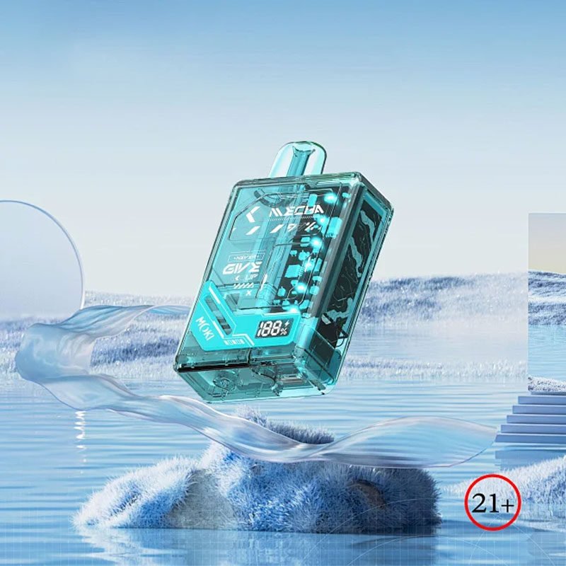 Vietnam E-Cigarette Travel Restrictions What Visitors Need to Know Before Arrival