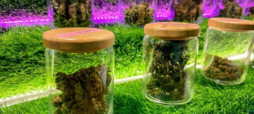 35000 Züge Vapes and e cigarette kit Essentials – How to Choose Long-Lasting Performance